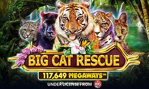 Big Cat Rescue Megaways